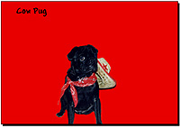 Pug Card 101 is a Fun theme and says Cow Pug. Features PugSpeak's own Trevor.