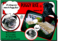Pug Card 202 is a Fun, Retro theme and says It's always nice when it's Puggy Rice!