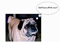 Pug Card 215 is a Fun theme and says Did I turn off the iron? Featuring PugSpeak's own Dexter.