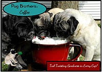 Pug Card 222 is a Fun, Retro theme and says Pug Brothers Coffee - Tail Twisting Goodness in Every Cup! Featuring PugSpeak's own Trevor, Ian, Dexter, and Mackie.