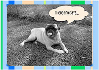 Pug Card 224 is a Feel Better theme and says There are days...when you can't chew the stick. Featuring PugSpeak's own Ian.