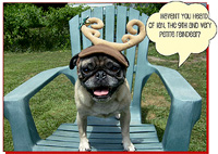Pug Card 302 is a Holiday theme and says Haven't you heard of Ian, the 9th and very petite reindeer? Featuring PugSpeak's own Ian.