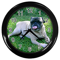 Pug Clock - This pug clock features PugSpeak's own Ian on a grassy backdrop with black frame and measures 10" (25.4 cm) in diameter. One AA battery required. Photo by Mary Crissman.