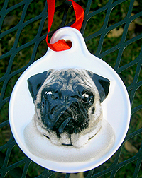 Pug Ornament - This pug ornament is ceramic with a lovely fawn pug and red ribbon hanger. Measure 3.00" X 3.00" (7.62 X 7.62 cm). A great addition to your Christmas tree or to hang in a window.