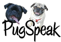 PugSpeak Pug & Pet Gifts - Pug Scarves