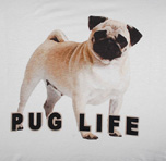 PugSpeak Pug T Shirt 2 inset - Pug Life